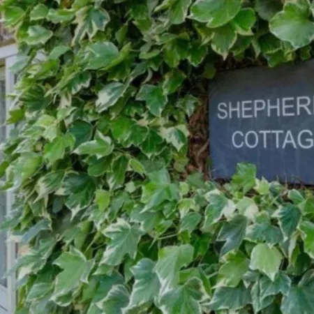 The Shepherds Cottage, Stillington, York *
